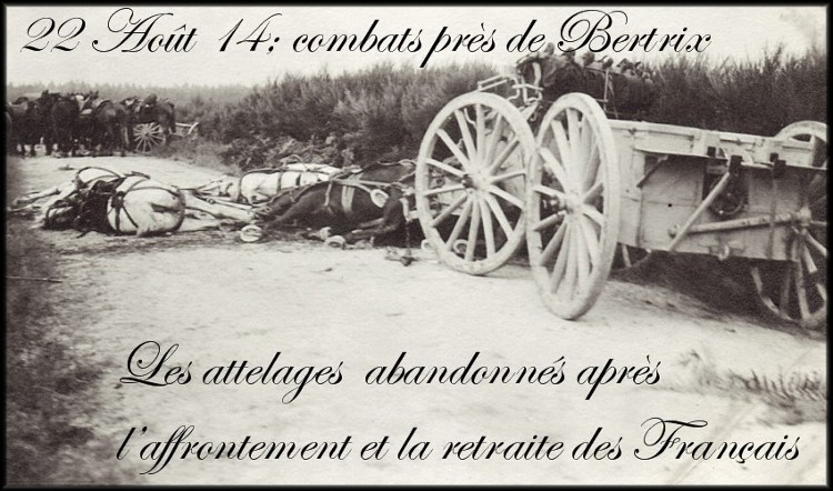 site1 bertrix chevaux tués après la retraite des français