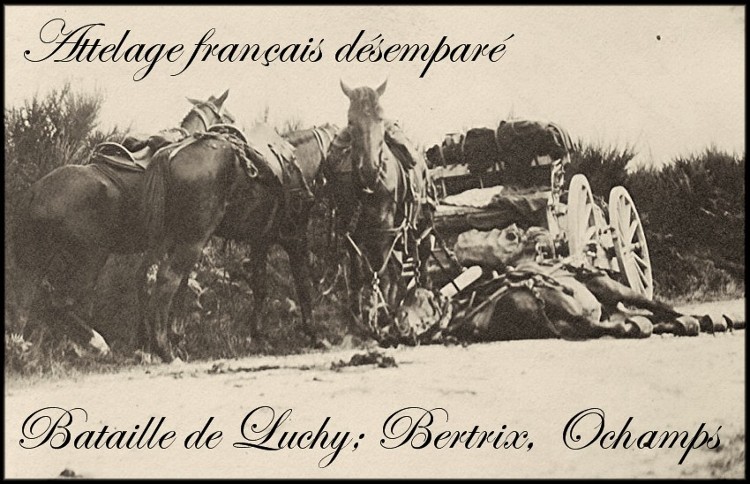 site2 bertrix chevaux tués  le 22 aout 14