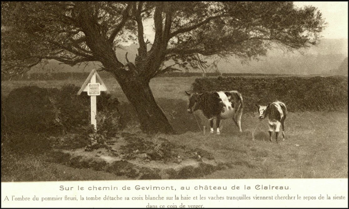 site 1916 GEVIMONT AU CHATEAU DE CLAIREAU ,TOMBE