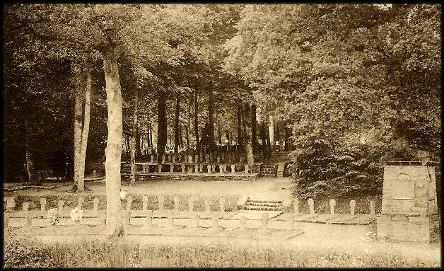 site rossignol ensemble du cimetière dans la forêt