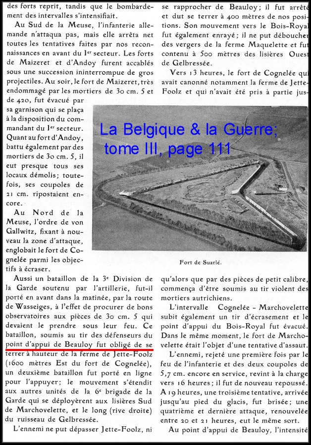 site 1914 La Belgique & la guerre tome III page 111