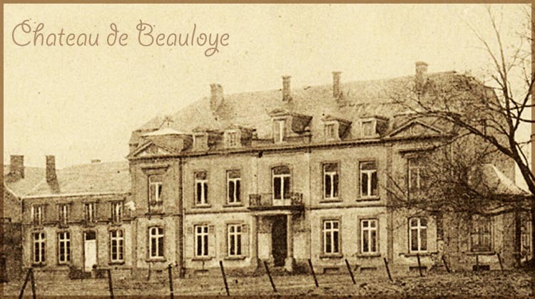 site so be cognelée château  beauloye