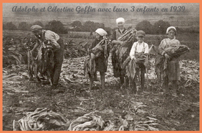 050-adolphe-goffin-avec-celestine-au-tabac-en-1939